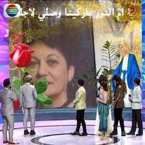 Meet your Posher, Seta